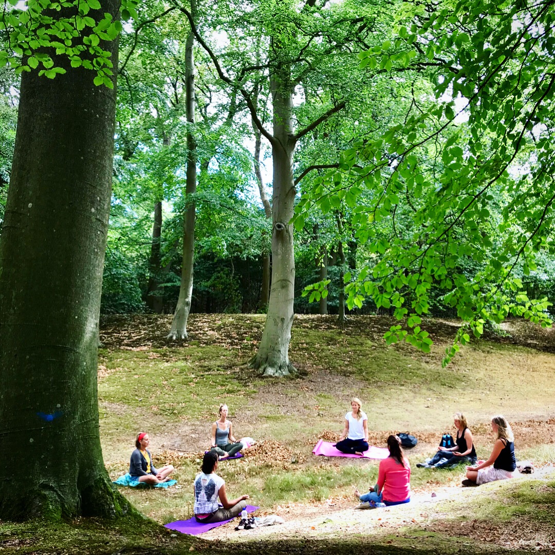 mediteren_natuur_mindfullness_retreat_Isabel_Sips_Pranic_Healing mediteren_natuur_mindfullness_retreat_Isabel_Sips_Pranic_Healing